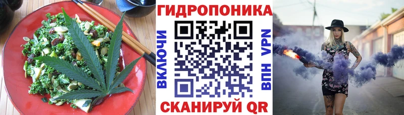 KRAKEN ONION  Шахты  Canna-Cookies конопля 