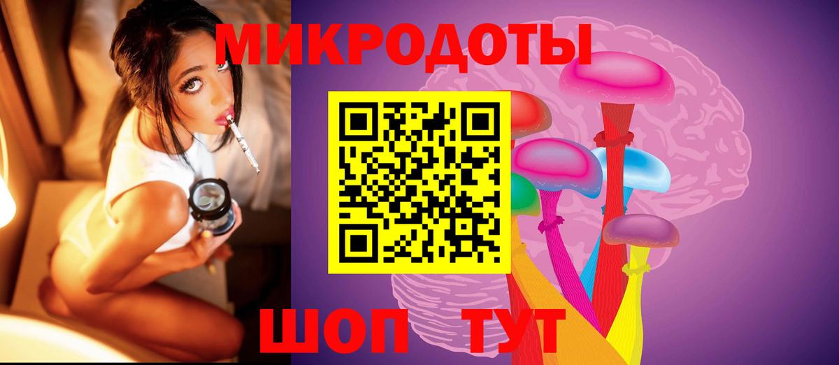 Псилоцибиновые грибы прущие грибы Шахты