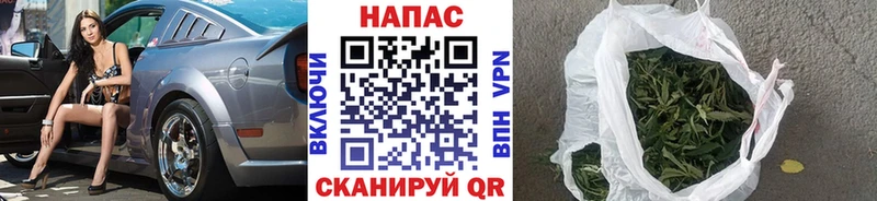 Бошки марихуана сатива  дарнет шоп  Шахты 